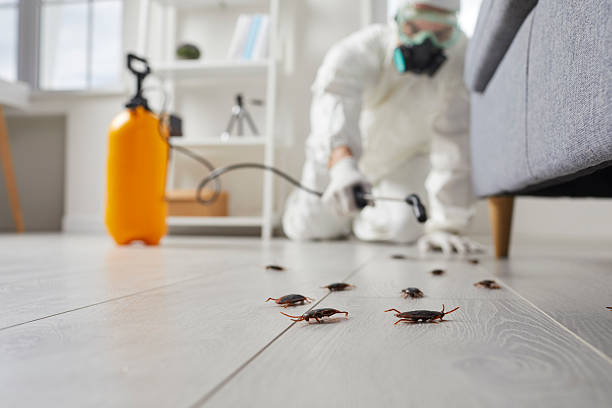 Commercial Kitchen Cockroach Control in West Chester